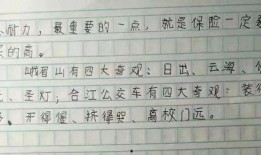 娱乐吃瓜酱小学生作文,小学生眼中的娱乐圈风云